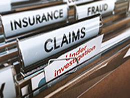 Insurance Frauds service in Haiti